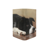 Border Collie Women's Leather Wallet (Model 1611)