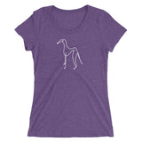 Azawahk Ladies' short sleeve t-shirt