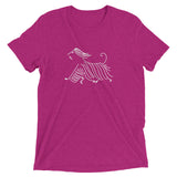 Afghan on the Run Short sleeve t-shirt