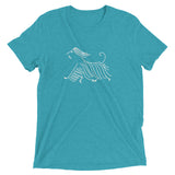 Afghan on the Run Short sleeve t-shirt