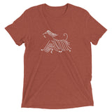 Afghan on the Run Short sleeve t-shirt