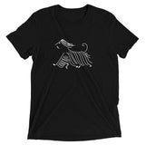Afghan on the Run Short sleeve t-shirt